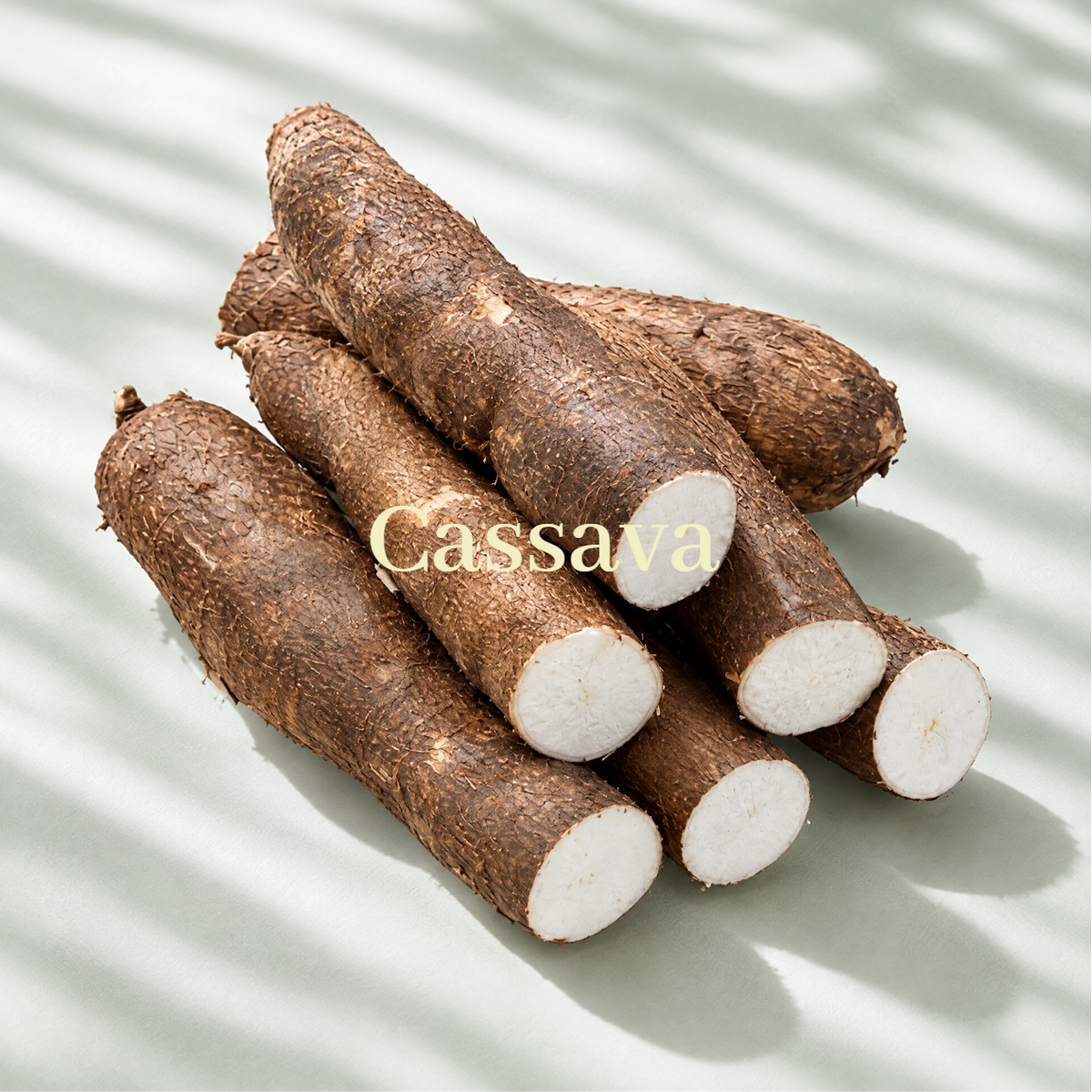 Cassava & Mineral Blend Cat Litter - Unscented